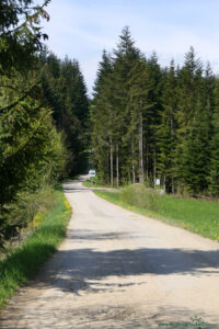 Szlak na Maciejową z Olszówki