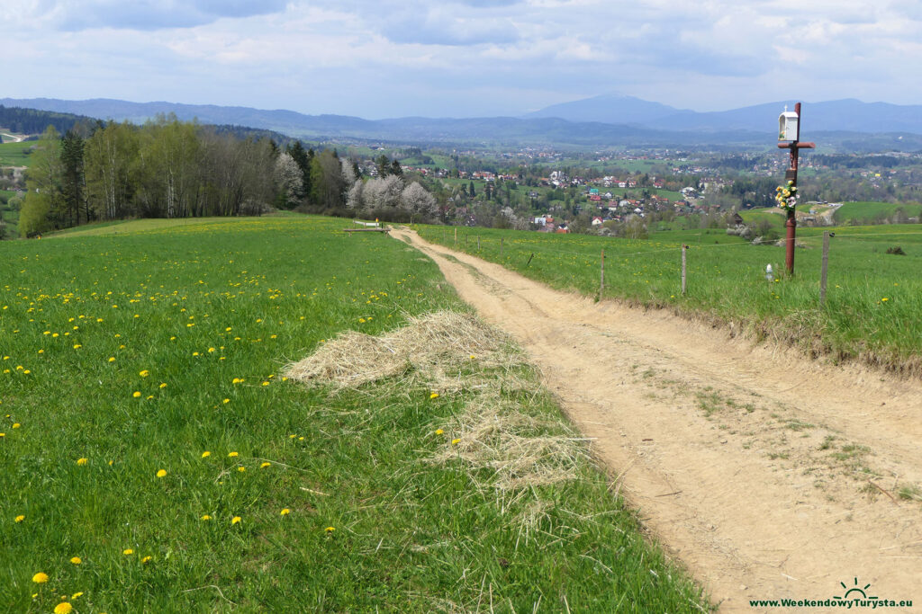 Szlak na Maciejową w Gorcach - widok na Rabkę