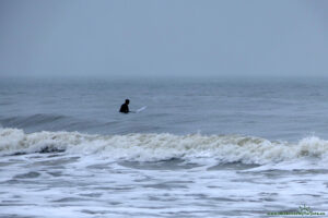 Surfer na falach zatoki Dunraven