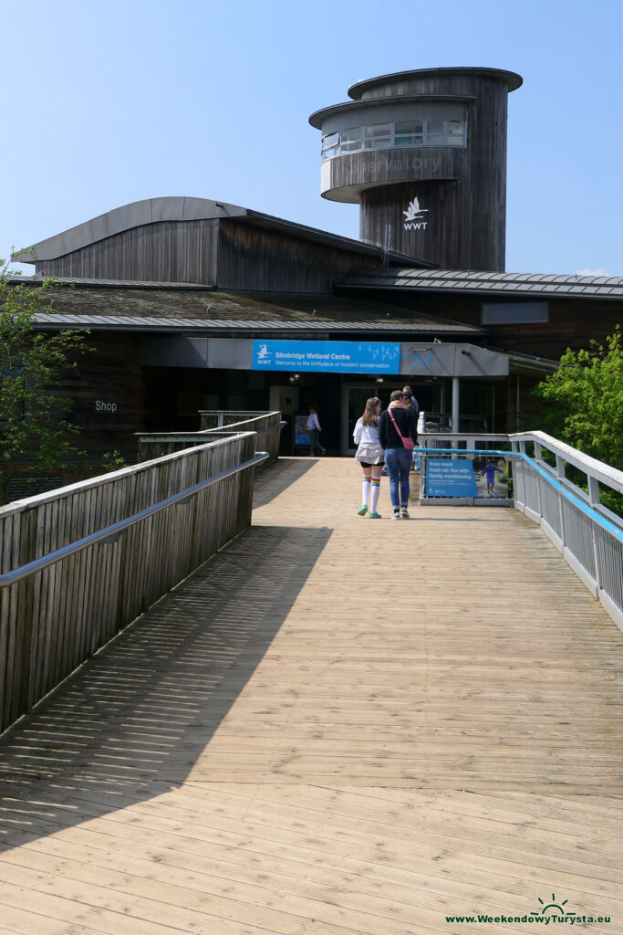 Rezerwat ptaków Slimbridge Wetland Centre - wejście