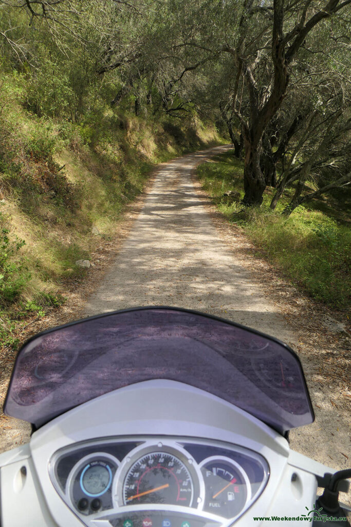 Droga wśród gajów oliwnych na Korfu
