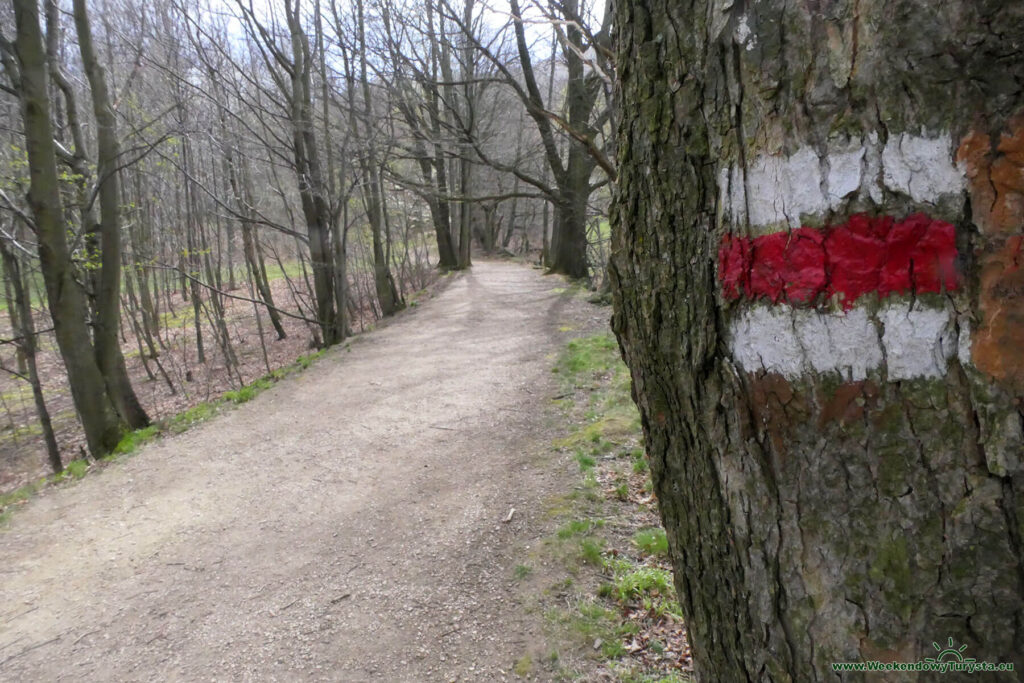 Czerwony szlak Via Czechia
