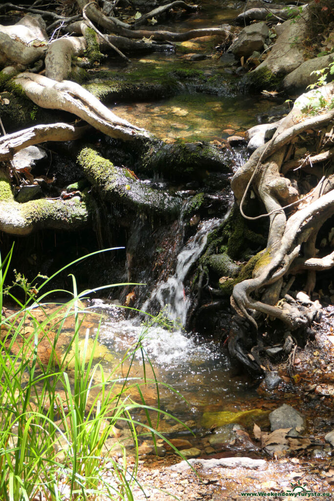 Woda w strumieniu przy szlaku- Park Narodowy Pinnacles