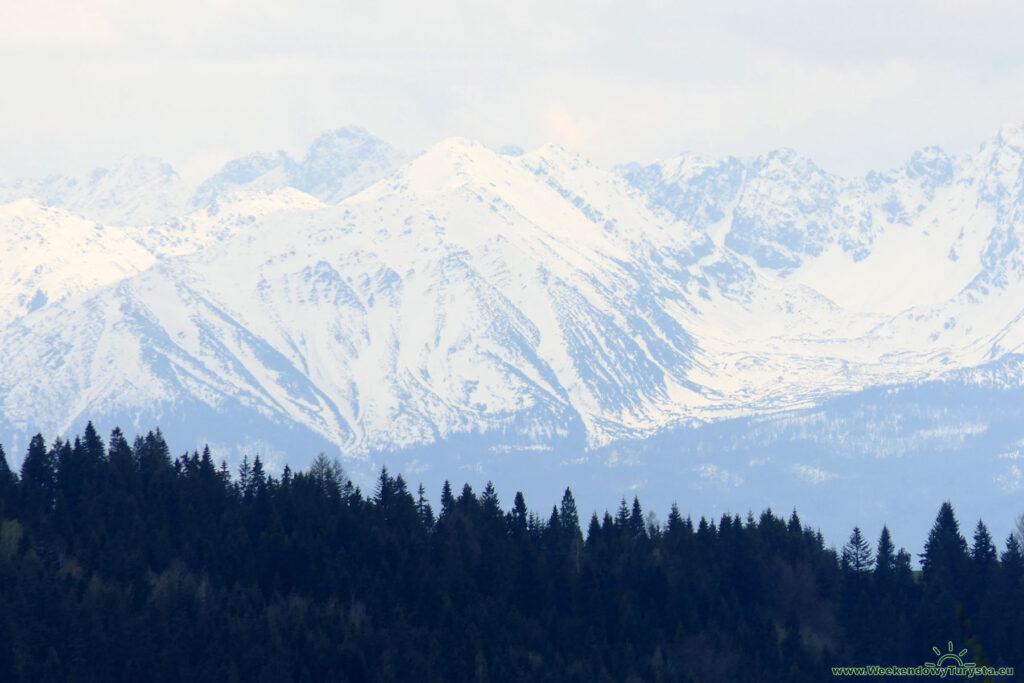 Gorce - widok na Tatry z Maciejowej - Szlaki trekkingowe w Polsce