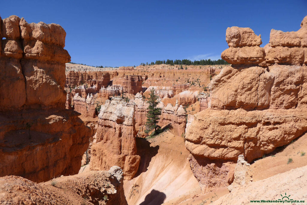 Szlak w Parku Narodowym Bryce Canyon