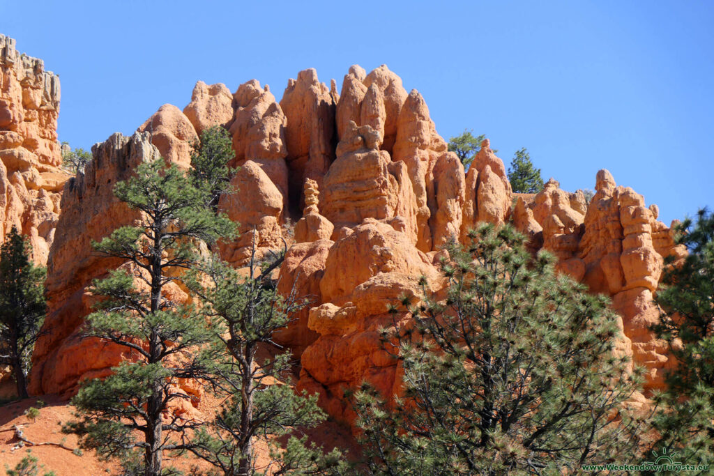 Red Canyon po drodze do Bryce Canyon National Park