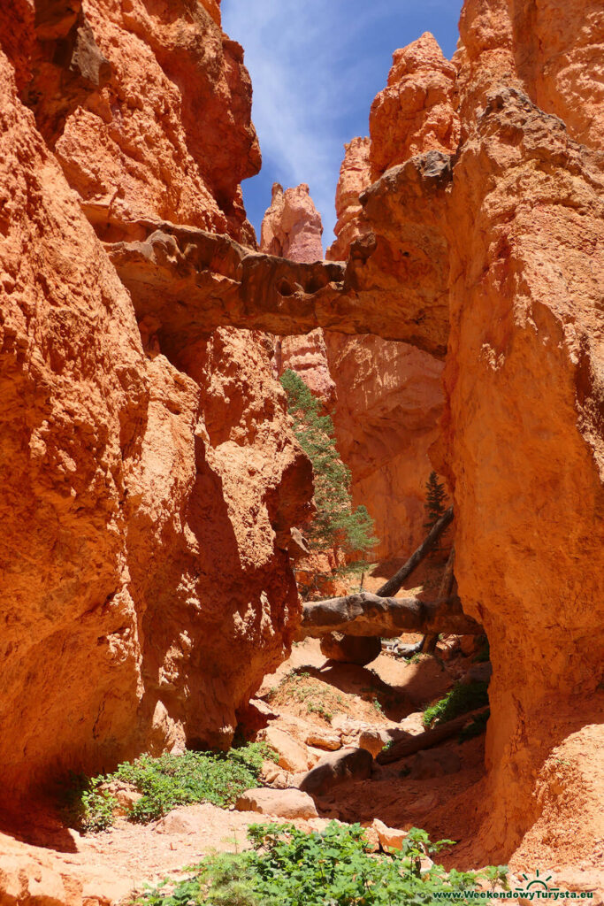 Dwa mosty skalne w Bryce Canyon