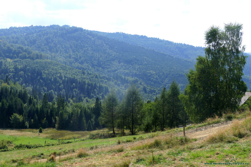 Widok z Hali Boraczej