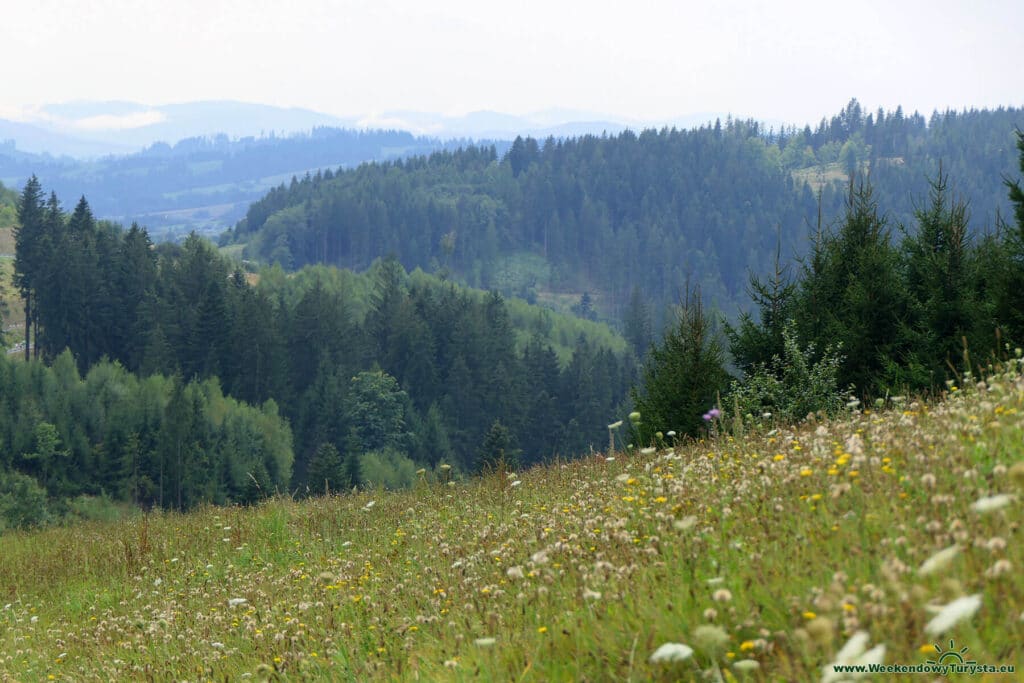 Trójstyk granic SK/CZ/PL