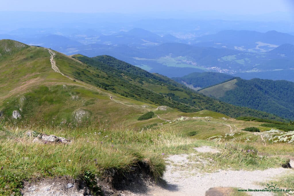 Widok na szlak na Piekeilnik