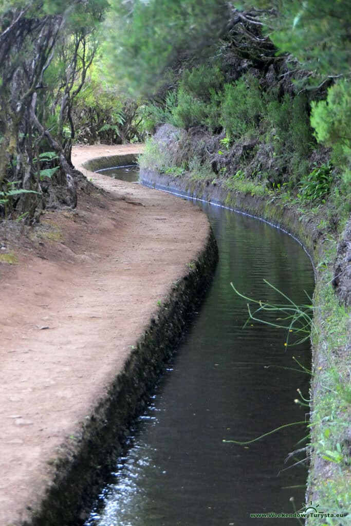 Levada do Alecrim