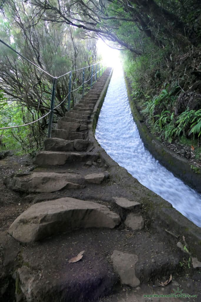 Levada do Alecrim - spadek wopdny