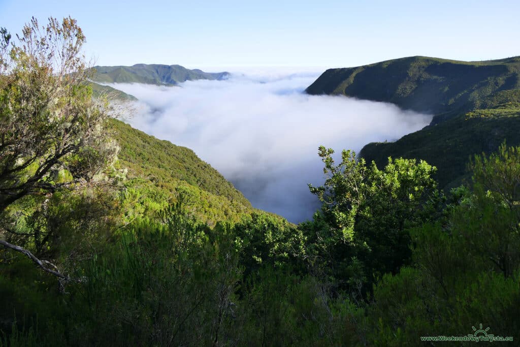 Widok z Levada do Alecrim