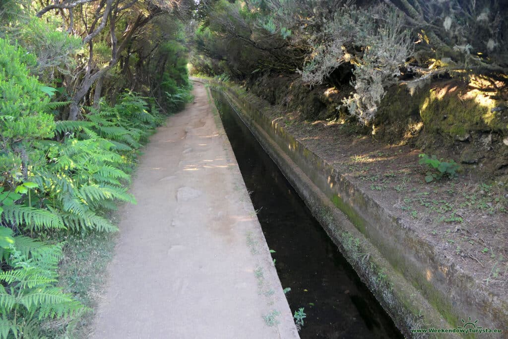 Levada do Alecrim